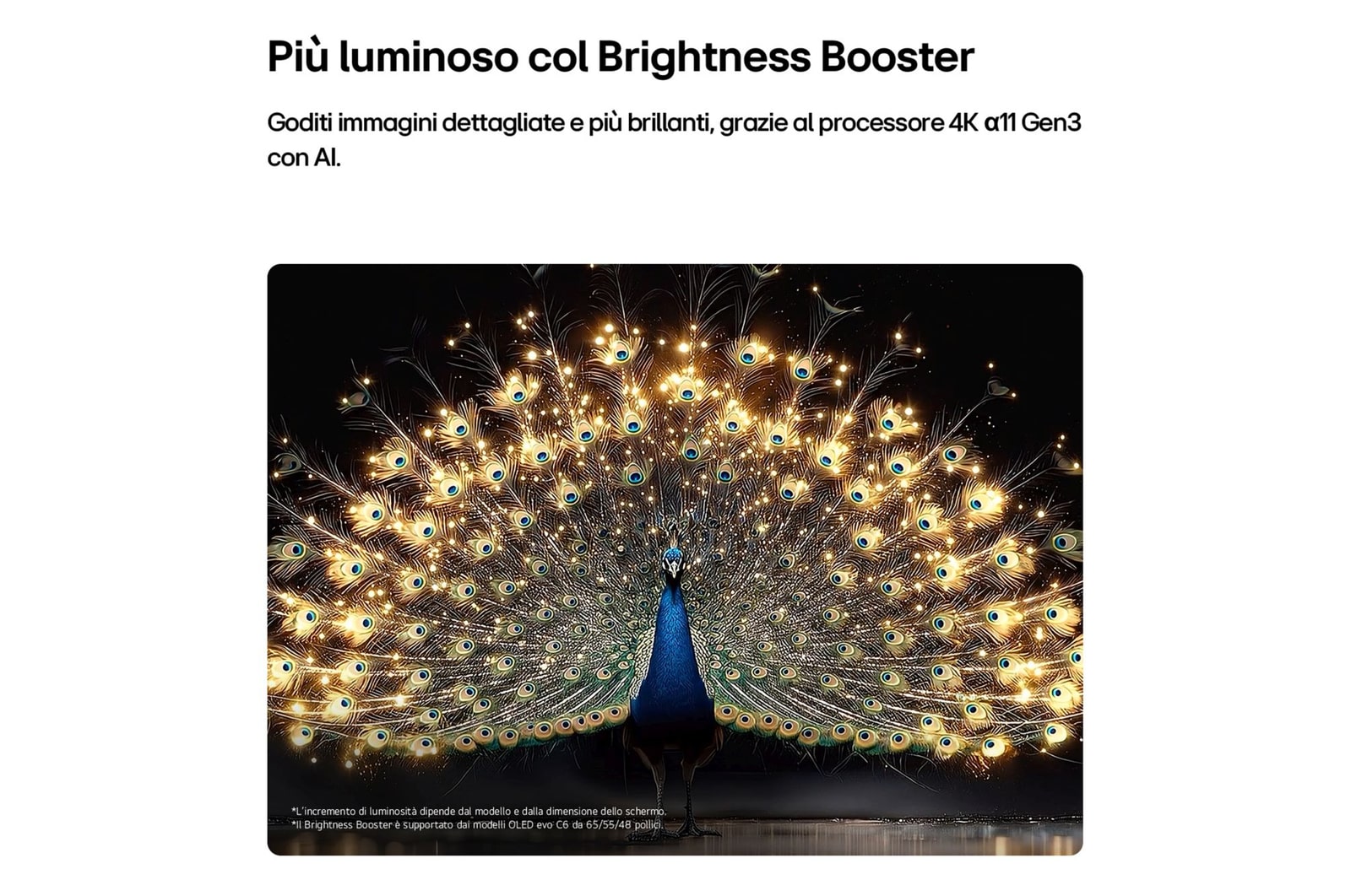 Brightness Booster TV OLED65C65LA 2026